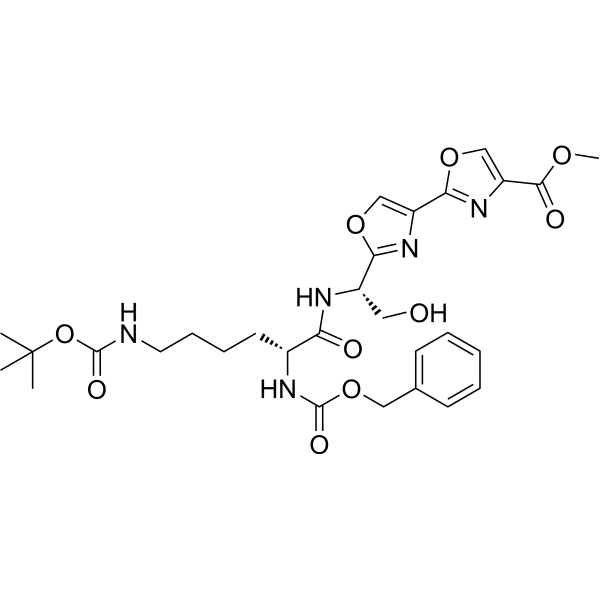L2H2-6OTD intermediate-3